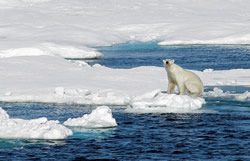 As the ice melts: The Scramble for the Arctic