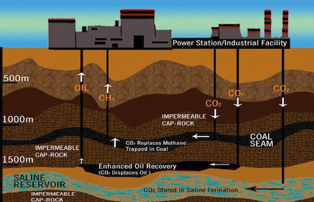 An infographic describing carbon capture and storage 
