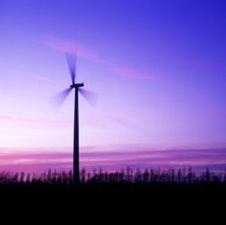 Wind energy hits record peak in California