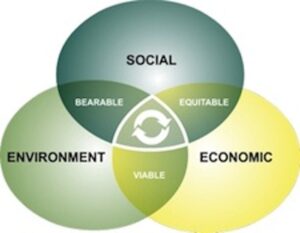 Sustainable business best practices: the triple bottom line