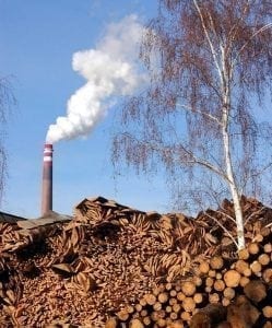 Biomass can be a part of the effort to cut back on fossil fuels, but only if it is harvested and used in ways that reduce pollution, cut emissions and protect forests. Pictured: A biomass-burning power plant.