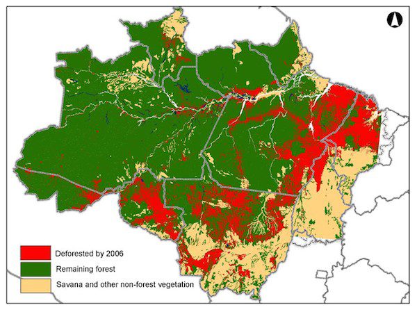 Amazon deforestation has only gotten worse since 2006