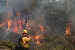 California wildfires and climate change