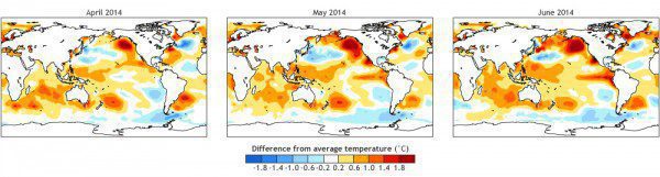 2014 sea surface temperature anomalies: NOAA