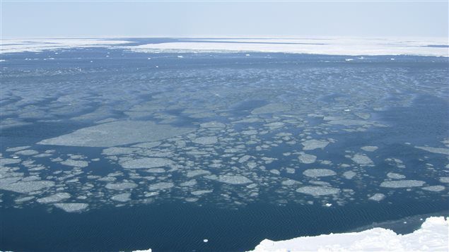 Beaufort sea ice