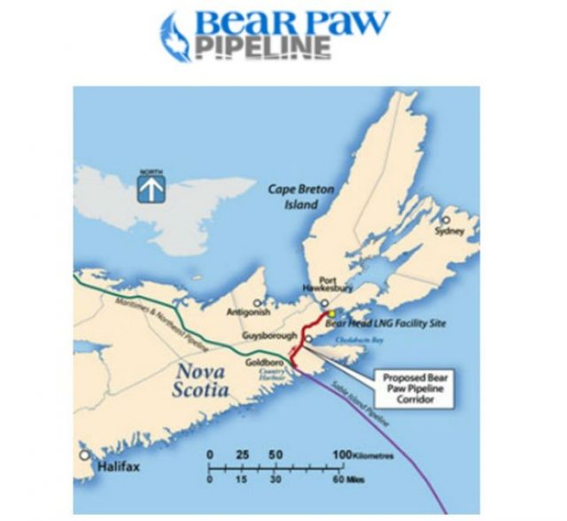 Bear Paw Pipeline