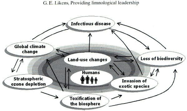 leadership and environmental change