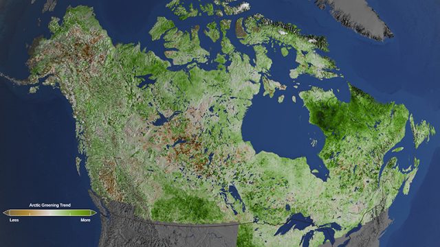 Arctic Climate Change: The Greening of the North American Arctic