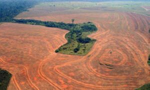 Deforestation in the Amazon, Brazil