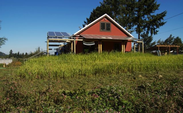 Solar Farm, Solar Barn