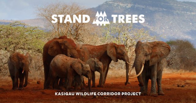 Stand for Trees Kasigau