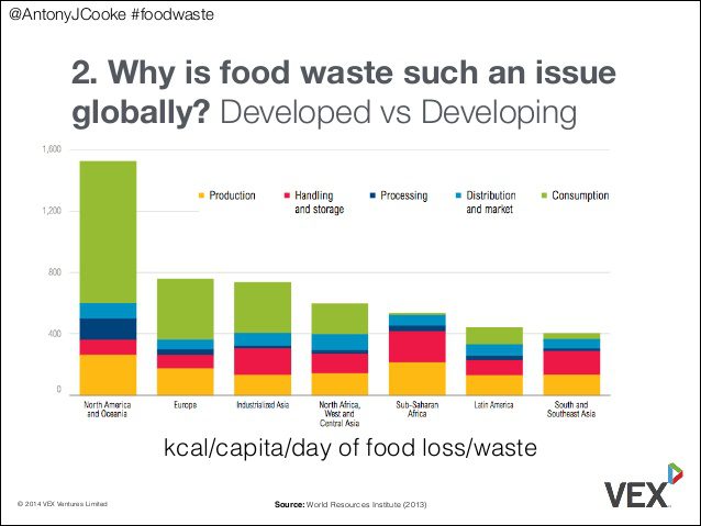 The global issue of food waste