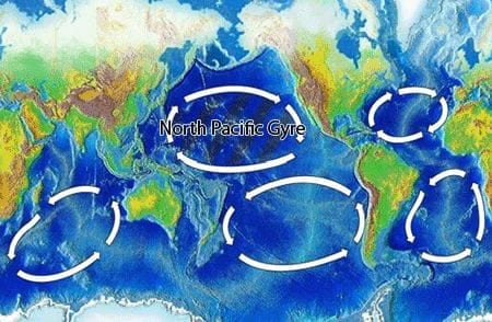 Ocean gyres world map, Wikimedia Commons