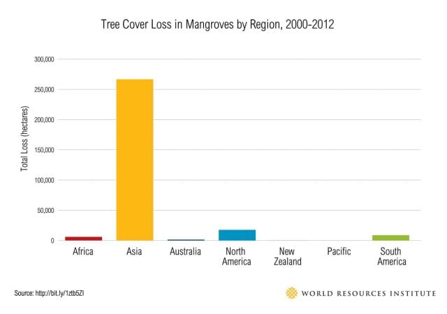 Tree cover loss in Mangroves