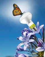 Switching Light Bulbs? Consider Going Mercury Free! – Options for Sustainable Lighting