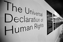An image of a wall with the words "The Univsersal Declaration of Human Rights"