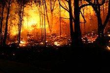 Climate change will lead to more wildfires