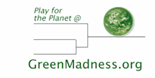 Play the Green Madness Game and learn how to live greener