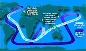 The Oceanic Conveyor Belt: Climate Change Tipping Points Being Reached in the Arctic, Western Boundary Ocean Currents