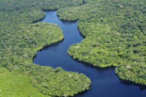 The Amazon River basin - known as the "lungs of the planet" - face significant threats