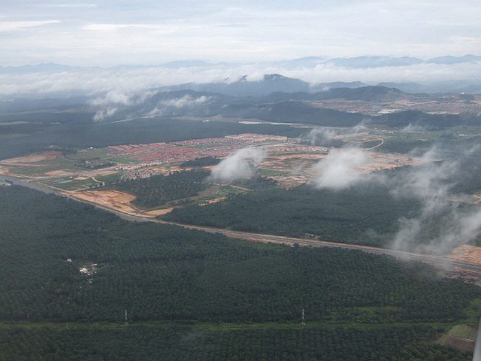 Deforestation is a major contributor to anthropogenic carbon emissions