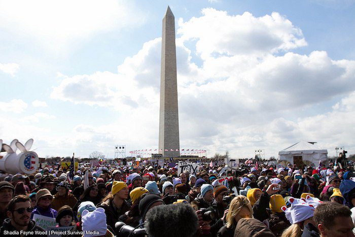  Forward on Climate: More Than 35,000 Rally in DC