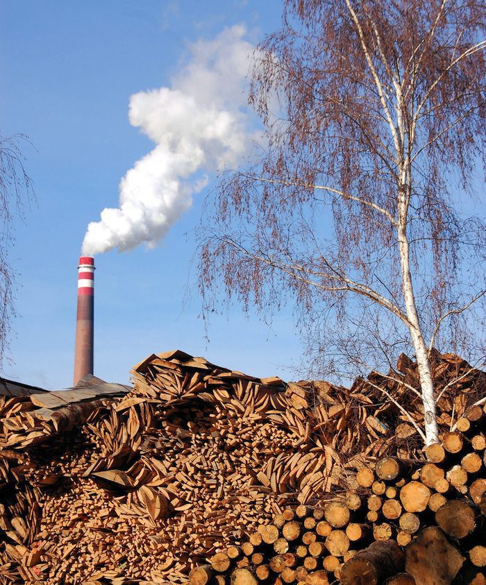 Biomass can be a part of the effort to cut back on fossil fuels, but only if it is harvested and used in ways that reduce pollution, cut emissions and protect forests. Pictured: A biomass-burning power plant.
