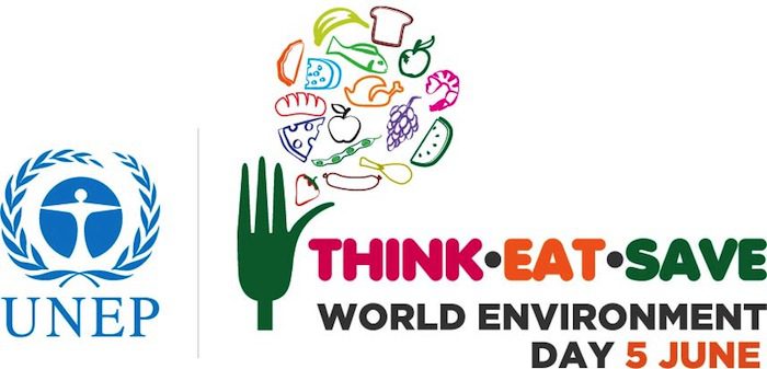 Celebrating the Global Power of Environmental Activism on World Environment Day