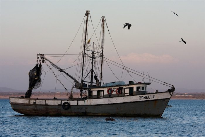 Hawaii’s Fishermen: Scapegoats for Forces Outside their Control