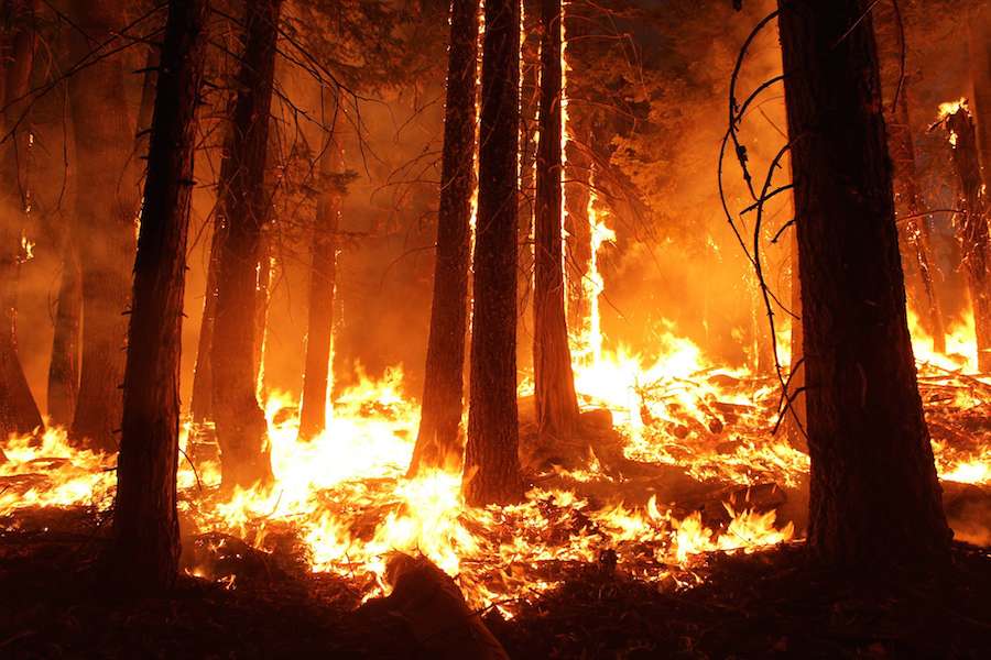 More warming is causes by increased number and intensity of wildfires