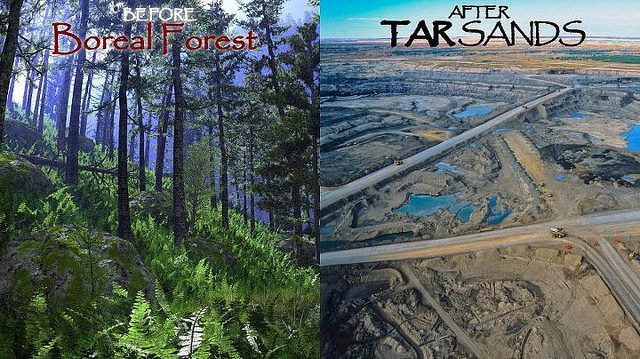 A boreal forest before tar sands development, and after