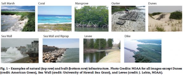 Unlocking the Value in Natural and Hybrid Coastal Infrastructure