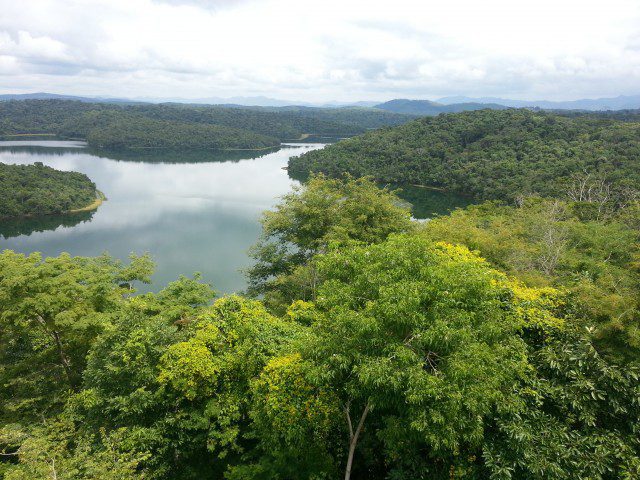 Mimicking Nature, Suriname Permeable Dam Project Prevents Coastal Erosion