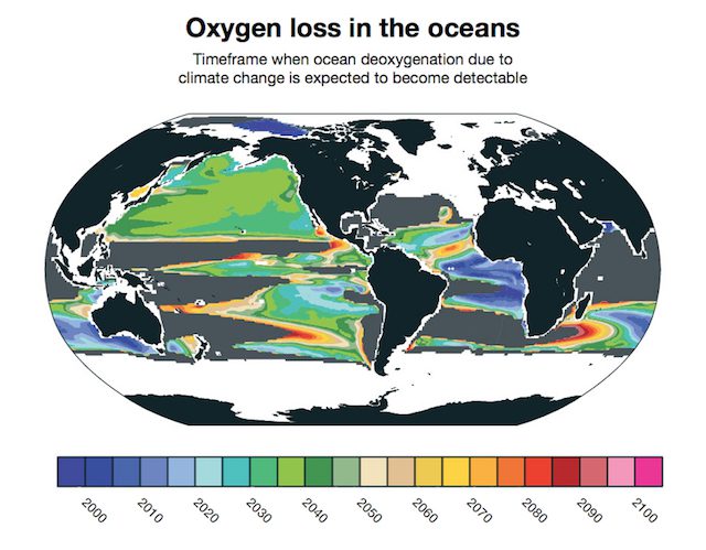 An infographic projecting the timeframe of ocean oxygen loss