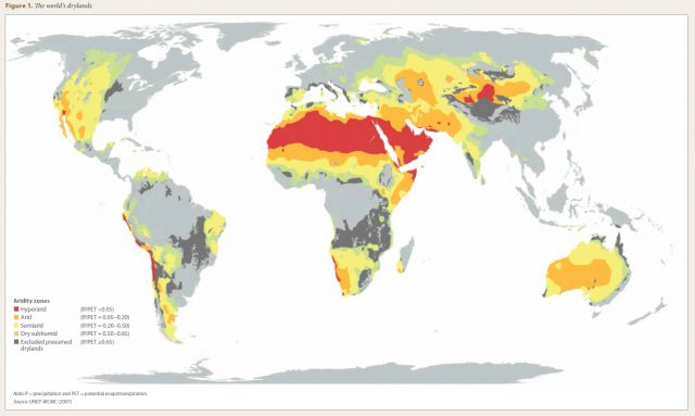 FAO Completes World’s First Global Assessment of Drylands Forests