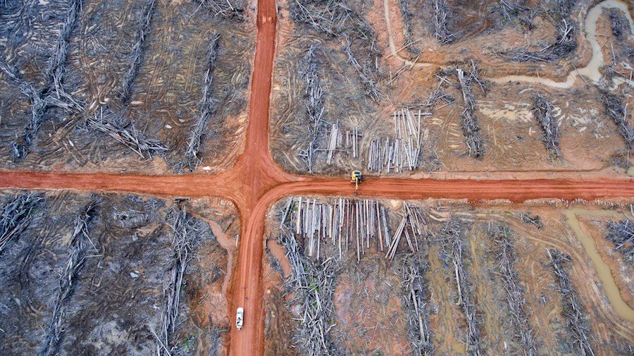 Aerial photograph showing a pile of wood that has been prepared to be burned will be planted oil palm area of PT PAPUA ALAM LESTARI