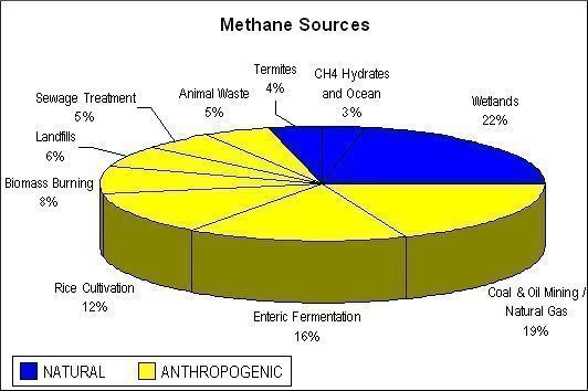 Methane sources: natural and anthropogenic 