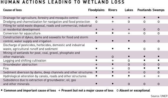 Human activity and wetland loss