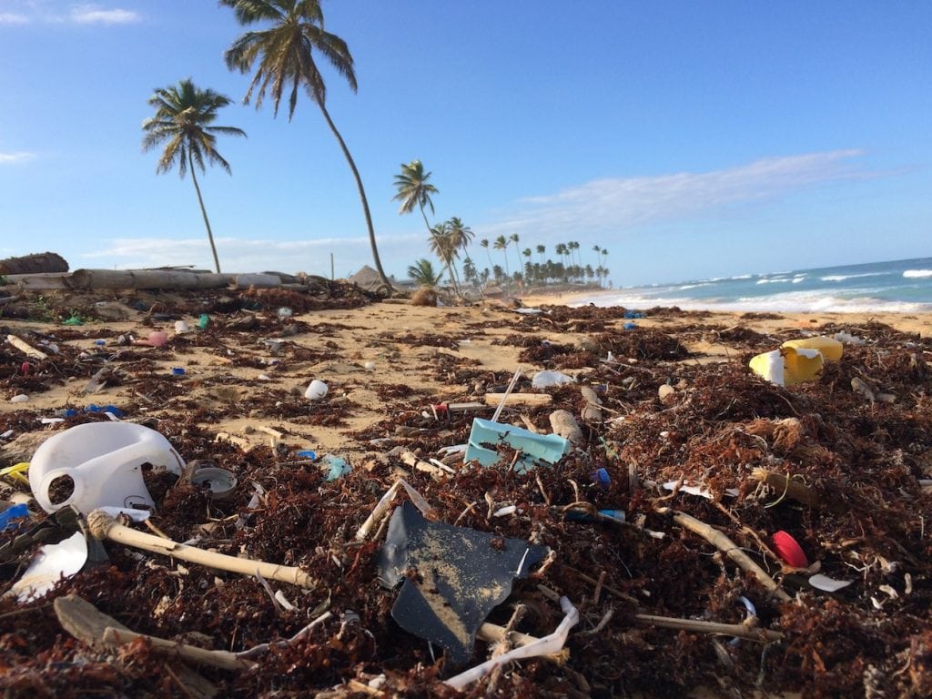 Single use plastic on a tropical beach - all used up and no place to go