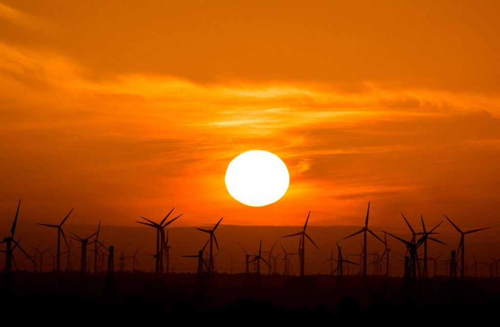 A windfarm sillouhetted against the setting sun