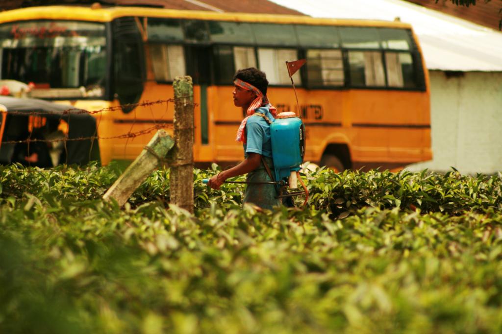 A farmworker sprays chemical pesticides in a field