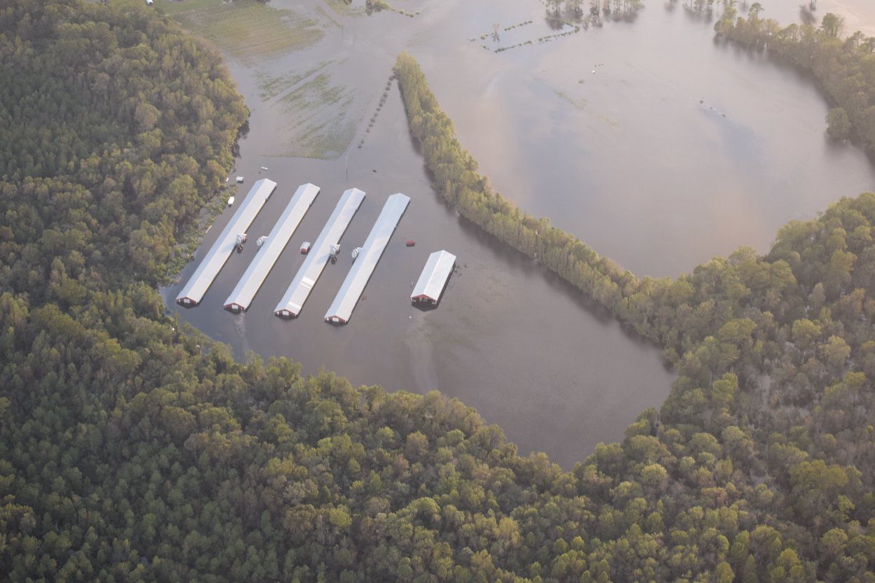 Build Back Better Act Provides Funding for CAFOs
