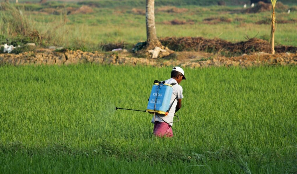A worker applies a chemical pesticide in a field