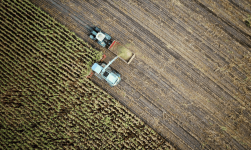 An aerial perspective of farm machine harvesting a field