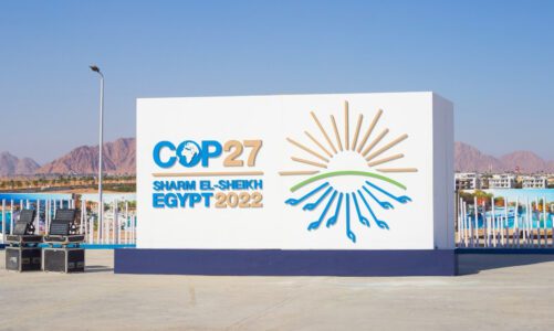 COP 27: Progress of Climate Negotiations, Naming the Monster, and How to Think in the Age of Catastrophe