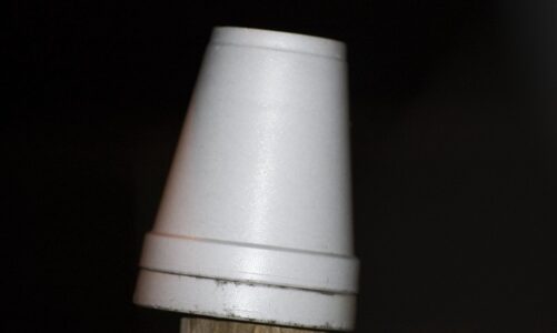 An empty Styrofoam cup sits upside down on a wooden post
