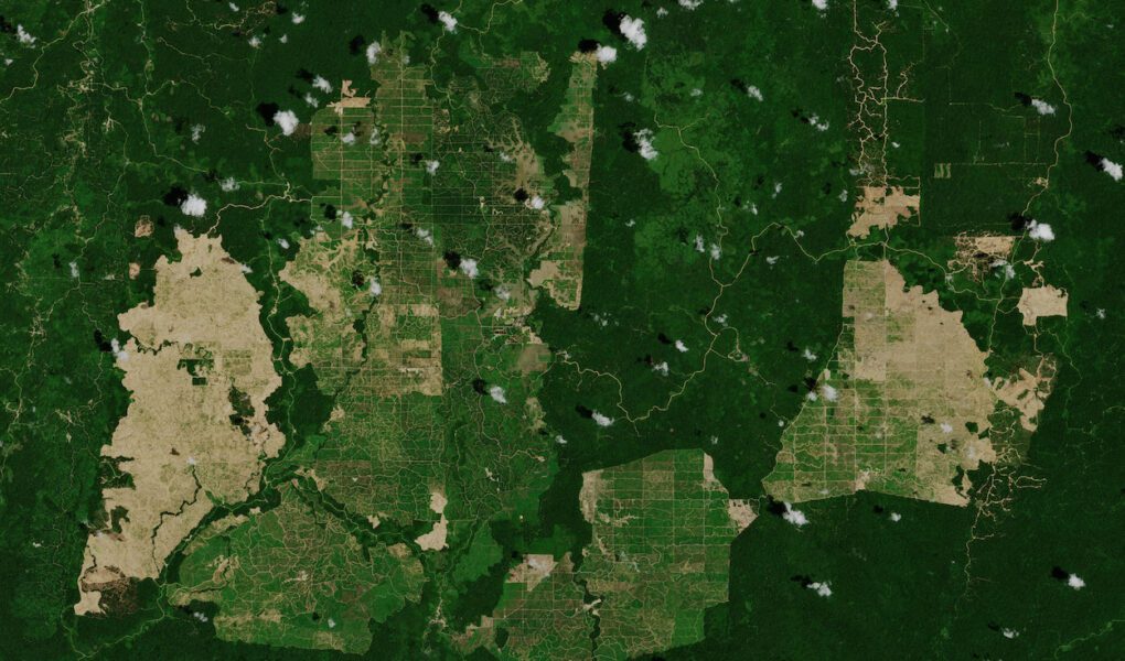 A satellite image showing swaths of rainforest destruction from palm oil plantations on the island of Borneo