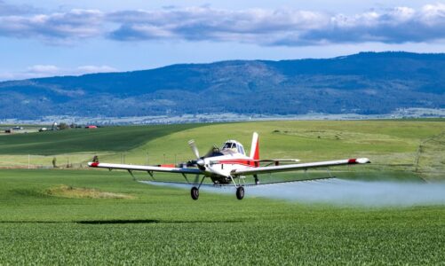 A crop duster sprays pesticide over a filed of crops