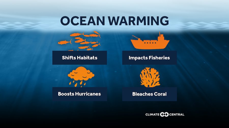 A graphic displaying the impacts of ocean warming