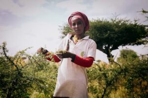 An Ethiopian woman stands in rehabilitated land. 